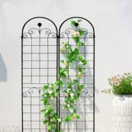 4 Pack Metal Garden Trellis For Climbing Plants Outdoor Netting Trellis - Image 8