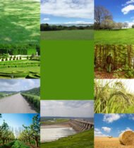 Multifunctional Small Ripper Micro Tiller Gasoline Lawn Mower - Image 5